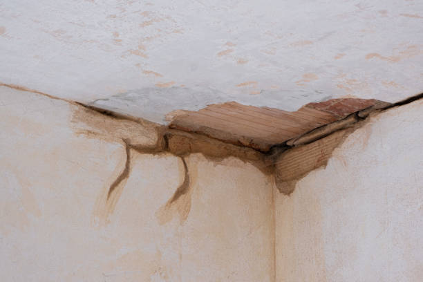 Trusted Colfax, WI Water damage restoration Experts