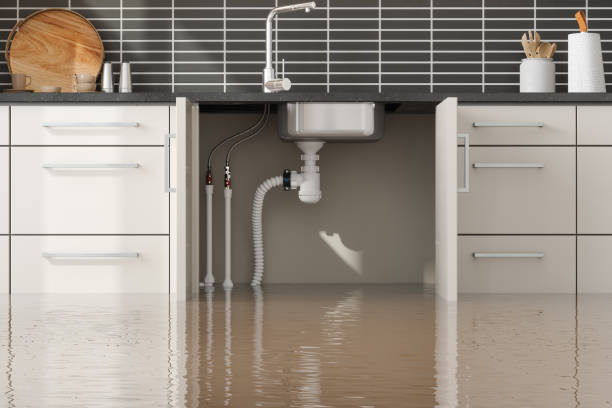Best Water damage restoration cost  in Colfax, WI