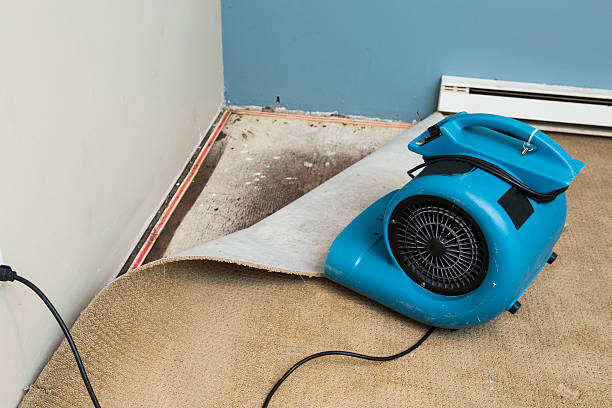 Best Water damage restoration near me  in Colfax, WI